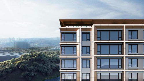 興城之星 純粹改善高奢大宅 回應(yīng)時代的選擇