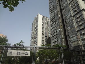 博雅園租房,33000元 月,觀golf 南北通透 朝陽(yáng)公園 景園 9號(hào)公寓 拎包入住 北京租房 推推99北京房產(chǎn)網(wǎng)